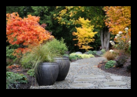 אושר בוטני פתח את מלוא הפוטנציאל של הצמחים שלך עם ציוד מהשורה הראשונה 4 אושר בוטני: פתח את מלוא הפוטנציאל עם ציוד מוביל