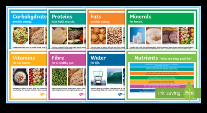 שליטה בפחמימות: ניווט בעולם של רכיבי תזונה חיוניים