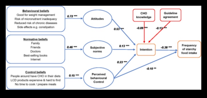 אקט האיזון: יסודות הפחמימות לרווחה אופטימלית