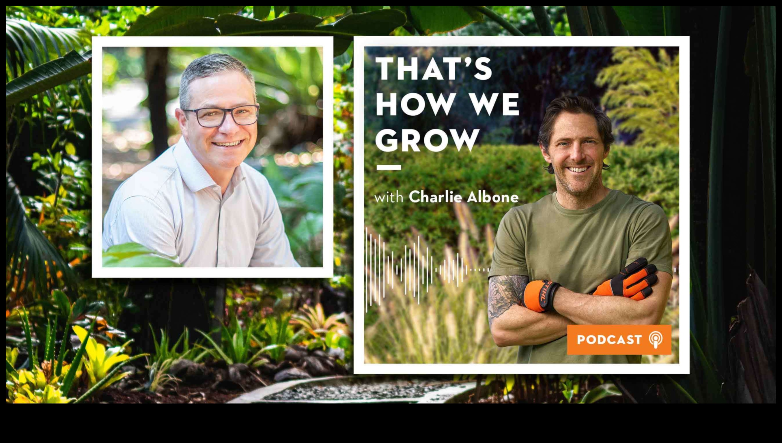 זוהר כל השנה כיצד להתאים את תחזוקת הגינה לשלמות 2 זוהר כל השנה: התאמת תחזוקת הגינה לשלמות