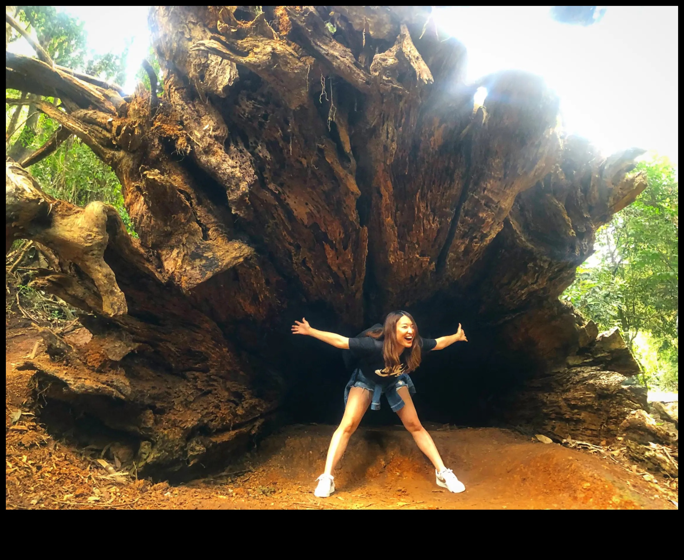 נופים עוצרי נשימה אוצר של סיירים גלה את הנופים המדהימים ביותר בעולם וקח את יופיו של הטבע מנקודת מבט חדשה. 5 נופים עוצרי נשימה: אוצר של סיירים