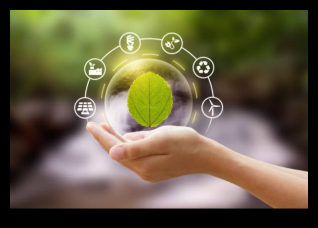 אסטרטגיות לאתיקה בת קיימא: חוכמה בהתנהגות עסקית