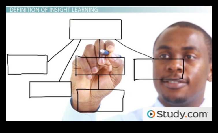 חכמי ניתוח: תובנות ממנהיגים שסללו את הדרך בתובנה