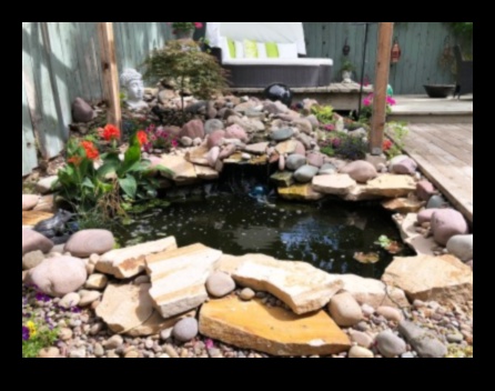 נווה מדבר גחמני: שנה את הגינה שלך עם תענוגות אומנותיים