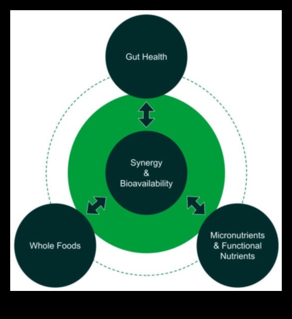 הקשר התזונתי: חיבור בין בריאות וביוכימיה תזונתית
