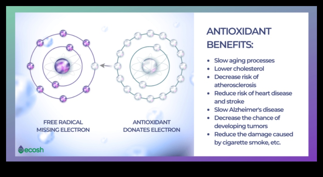 היתרון נוגד החמצון: שפר את רווחתך באופן טבעי