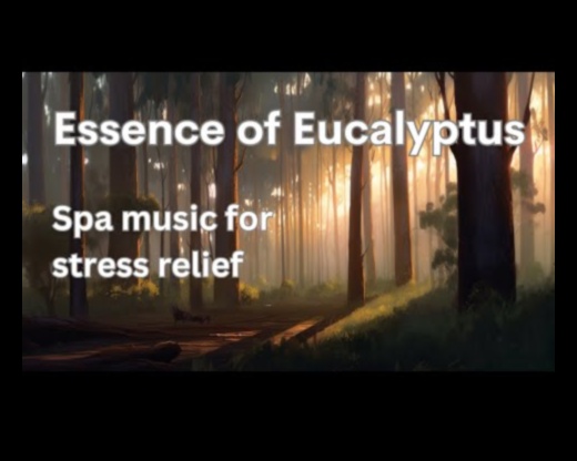 Zen Zephyr: חיבוק רוגע בפעילויות החיצוניות שלך