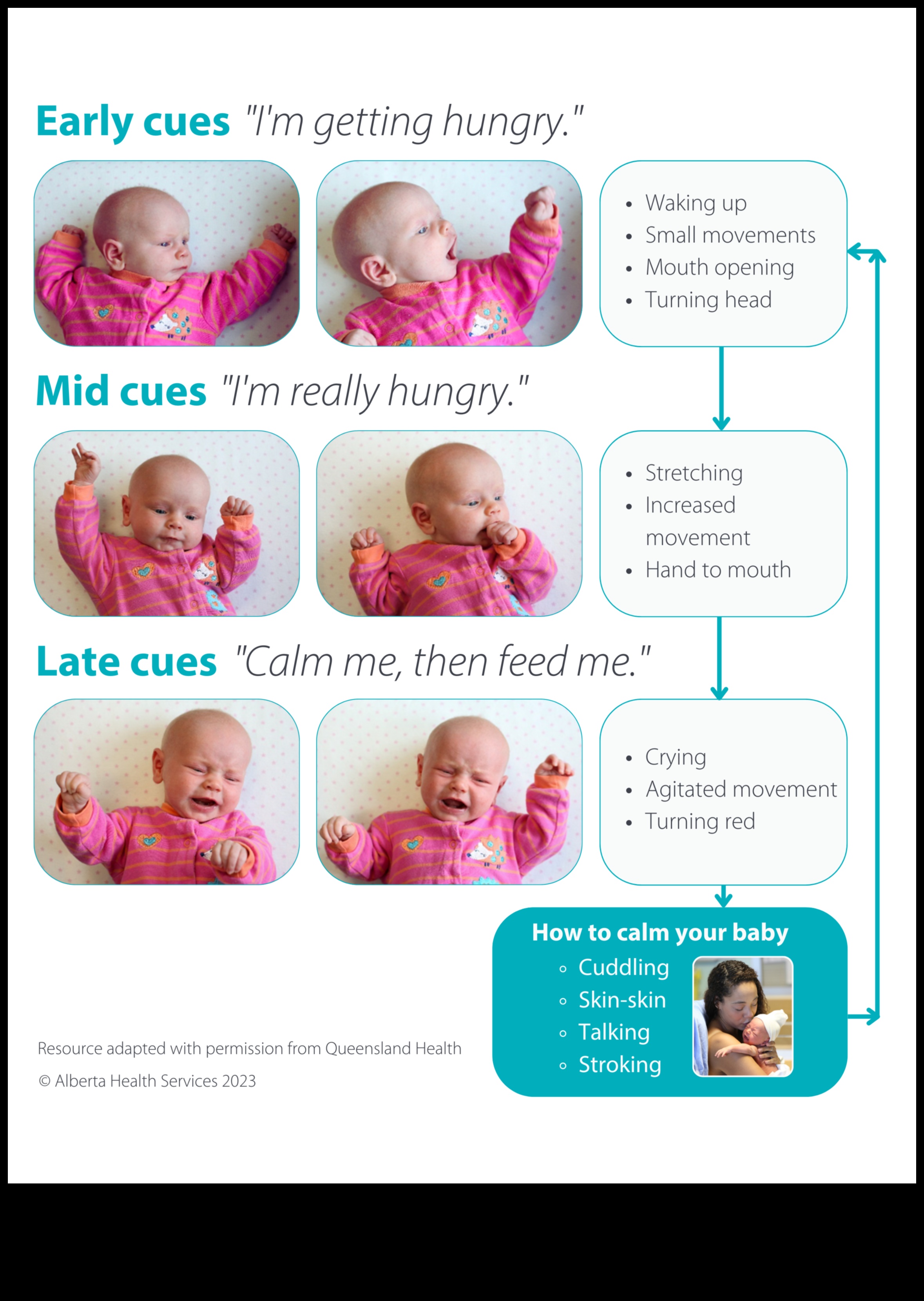 תזונה לילודים: מדריך ילדים מקיף