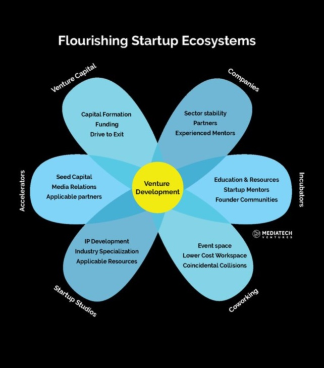 דופק הסטארט-אפ: הלב הפועם של היזמות