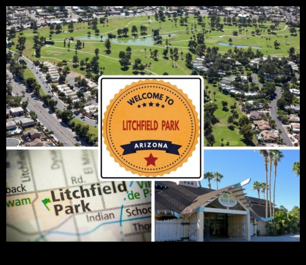 אוצרות שבילים שחררו את הסייר הפנימי שלך במדבר 5 אוצרות שביל: שחרור הרפתקאות במדבר