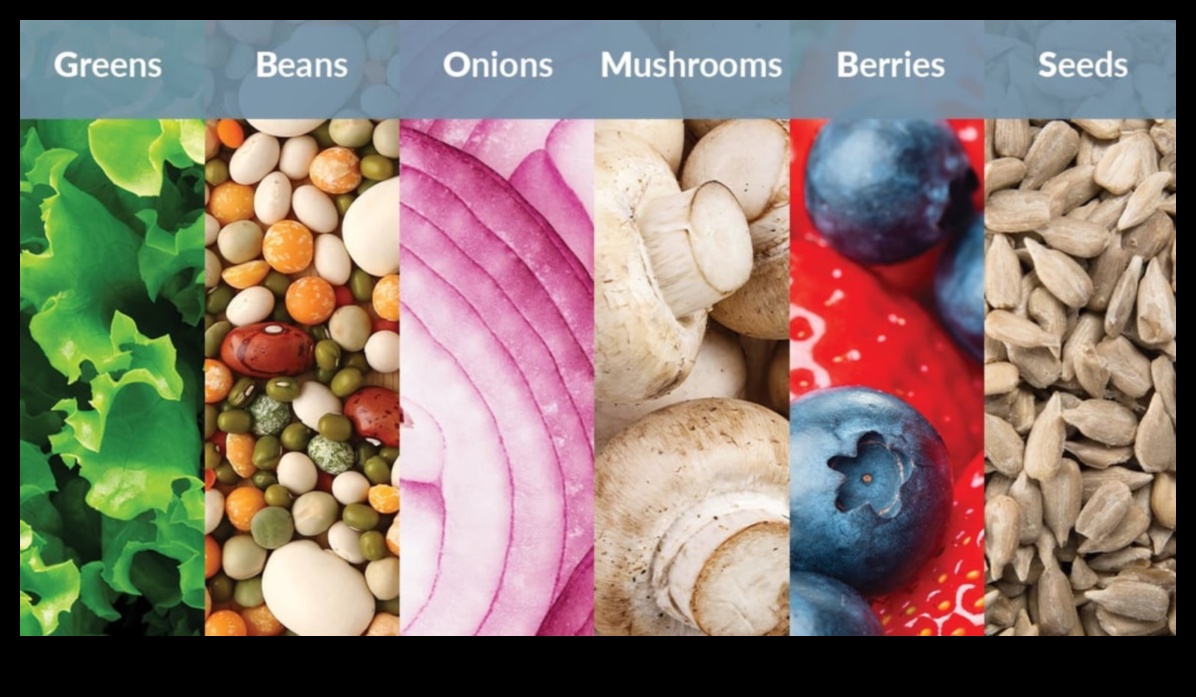 נוגדי חמצון חיוניים 101: מדריך למתחילים לרווחה