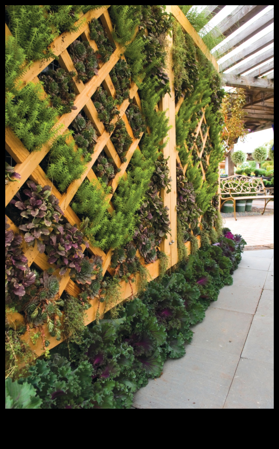 להפיח חיים בחלל שלך: חווית החממה