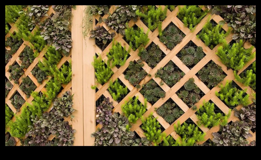 להפיח חיים בחלל שלך: חווית החממה