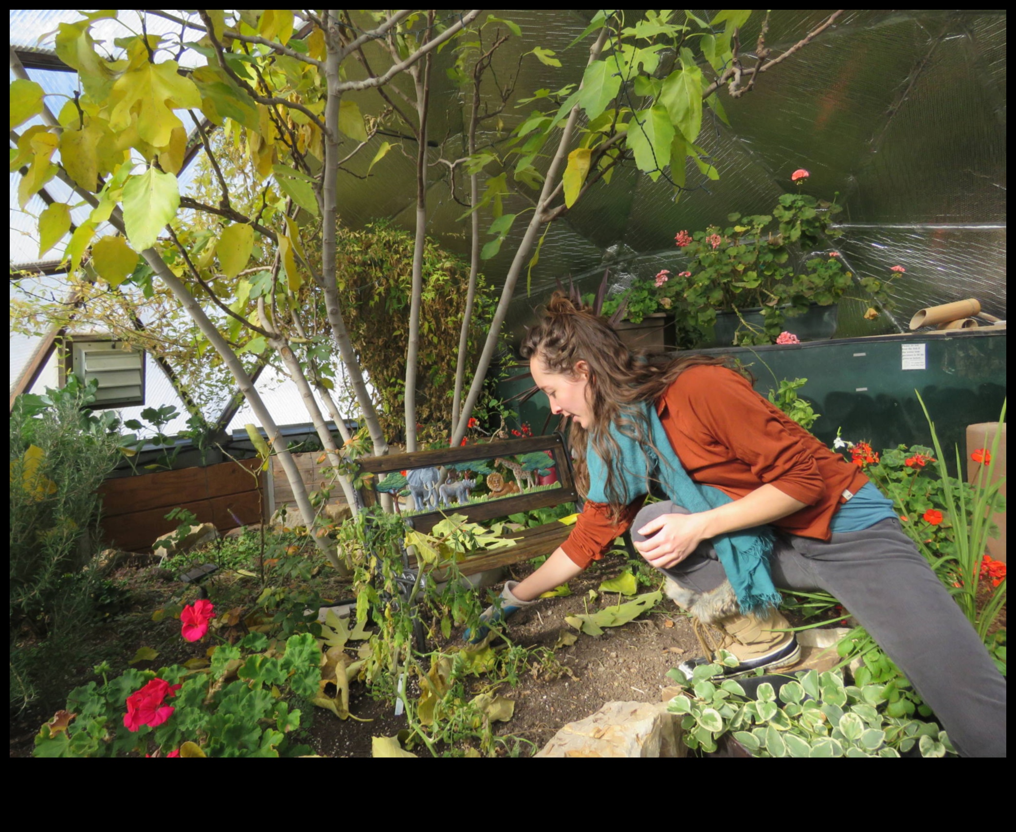 להפיח חיים בחלל שלך: חווית החממה