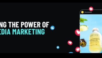 LinkedIn Dynamics: ניווט הצלחה בזירת הרשתות העסקיות