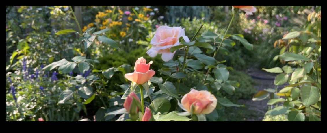 אושר בוטני פתח את מלוא הפוטנציאל של הצמחים שלך עם ציוד מהשורה הראשונה 3 אושר בוטני: פתח את מלוא הפוטנציאל עם ציוד מוביל