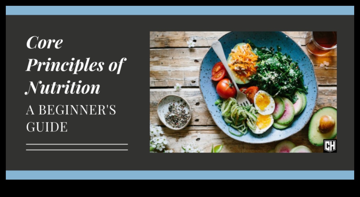 אכילה חיונית: ניווט בעקרונות הליבה של תזונה