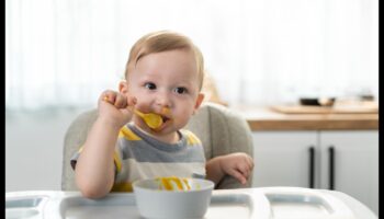 תזונה לגידול מוחות: מדריך לילדים להורים