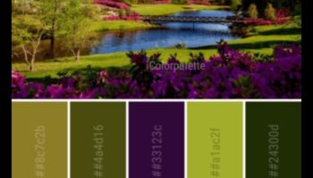 פלטת הטבע: השראת עשה זאת בעצמך לגינה צבעונית