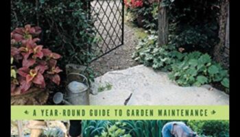 זוהר כל השנה: התאמת תחזוקת הגינה לשלמות