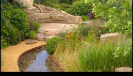 טיפוח שמחה: פלאי עשה זאת בעצמך עבור מקלט גן מענג