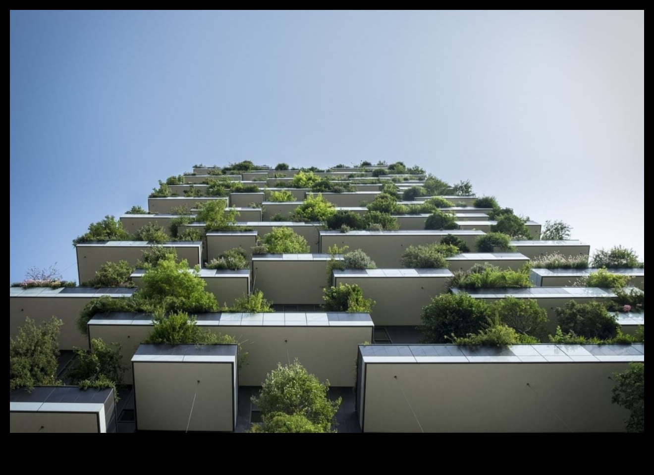 ירוקי בטון: קסם גינון עירוני נחשף