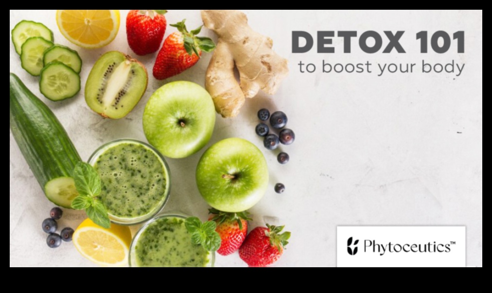 נוגדי חמצון חיוניים 101: מדריך למתחילים לרווחה