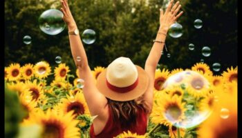 נווה מדבר גחמני: שנה את הגינה שלך עם תענוגות אומנותיים