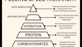 ספרינט סמארט: טיפים מהירים לתזונת ספורט במהירות גבוהה