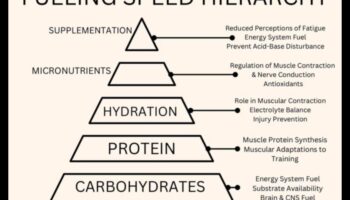 ספרינט סמארט: טיפים מהירים לתזונת ספורט במהירות גבוהה