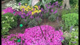 פריחה בברונזה: הפיתוי של אמנות גן חיצוני