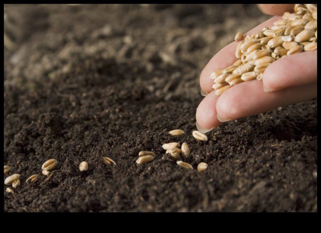 בריאות קציר: זריעת זרעים של חוכמה תזונתית