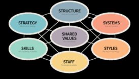 רוכב על הגל העסקי: אסטרטגיות להצלחה בייעוץ