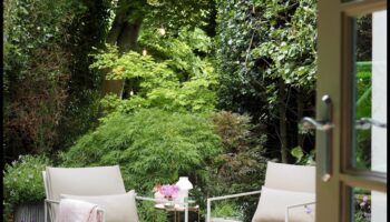 אופנתי בחוץ: ריהוט אופנתי למקלט הגן שלך