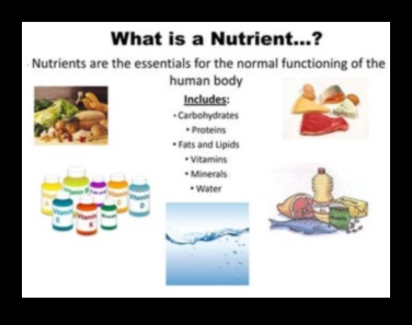 שליטה בפחמימות: ניווט בעולם של רכיבי תזונה חיוניים