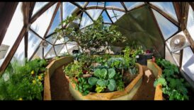 תפיח סגנון חיים בחלל האינדיבידואלי שלך בלי חווית החממה 2 להפיח חיים בחלל שלך: חווית החממה