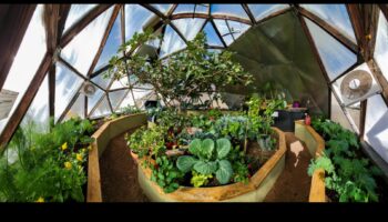 להפיח חיים בחלל שלך: חווית החממה